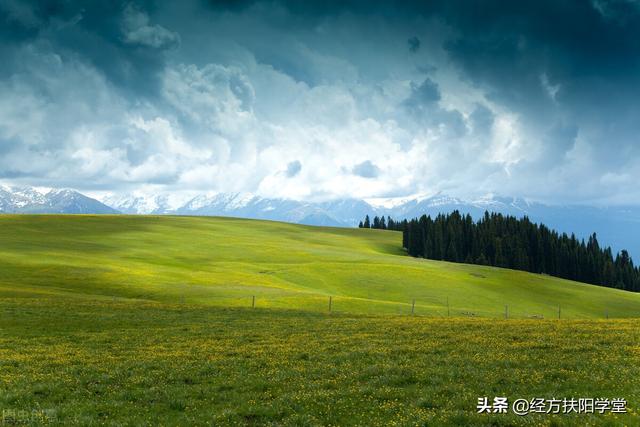 桂枝汤的功效，桂枝汤的功效作用与主治用量（详述桂枝汤的病机、原理及将息法）