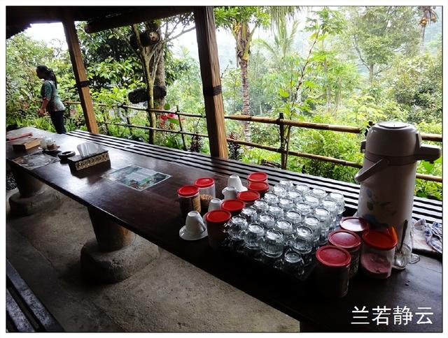猫屎咖啡的价格，猫屎咖啡多少钱一杯（印尼巴厘岛旅游）