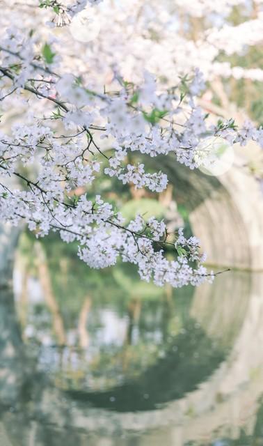 杭州西湖在哪里，杭州西湖在哪个省哪个市区（杭州西湖）