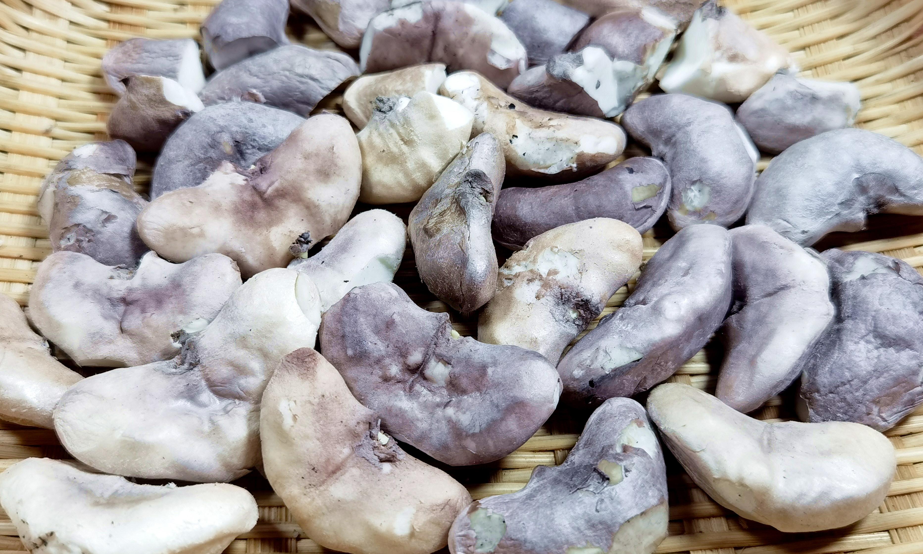 菱角怎么做好吃，菱角怎么吃最简单好（人称“水中坚果”）