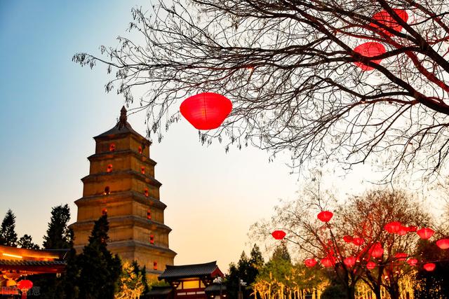 桂子是什么，桂子是什么中药（桂子 ， 长安春词）