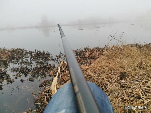 立漂调漂方法图解，传统单钩立漂钓鱼怎么调漂（这样的线组既灵敏又方便观察漂相）