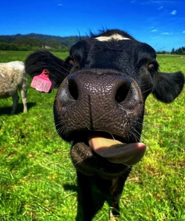 “我有点不开心，微信头像，“我有点不开心，不只一次，不只今天，不只是你”丧系女生头像（所有的不开心就止步于此吧）