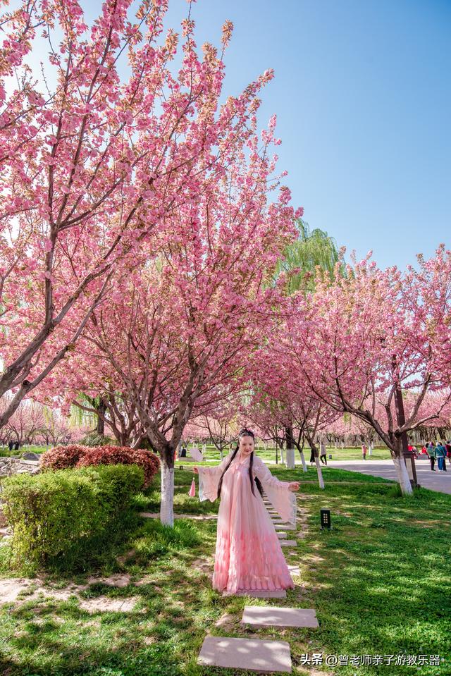 附近看花的地方，深圳最适合去赏花的地方（2023西安及周边赏樱花的地点大全）