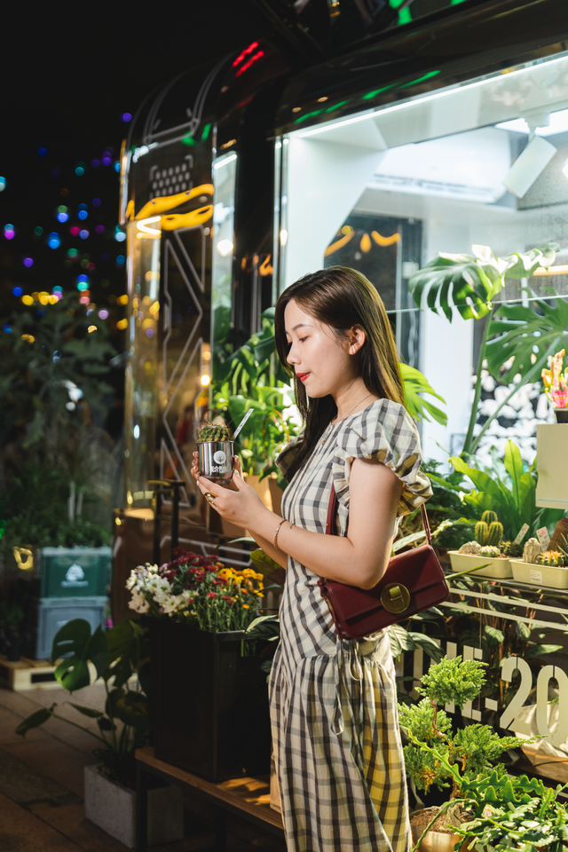 深圳海洋世界攻略，海洋馆、水秀剧场、梦幻巡游…在这里全都有