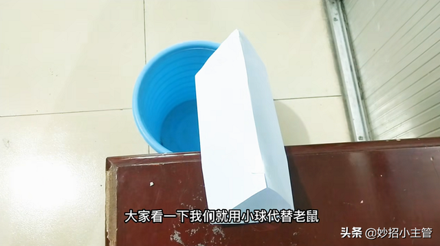 老鼠最喜欢吃什么，老鼠最喜欢吃什么食物（家里有老鼠别着急）