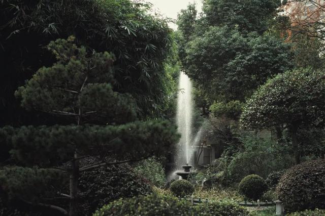 摄影的意义与价值，摄影对孩子意义与价值（戴显婧：从摄影师到导演）