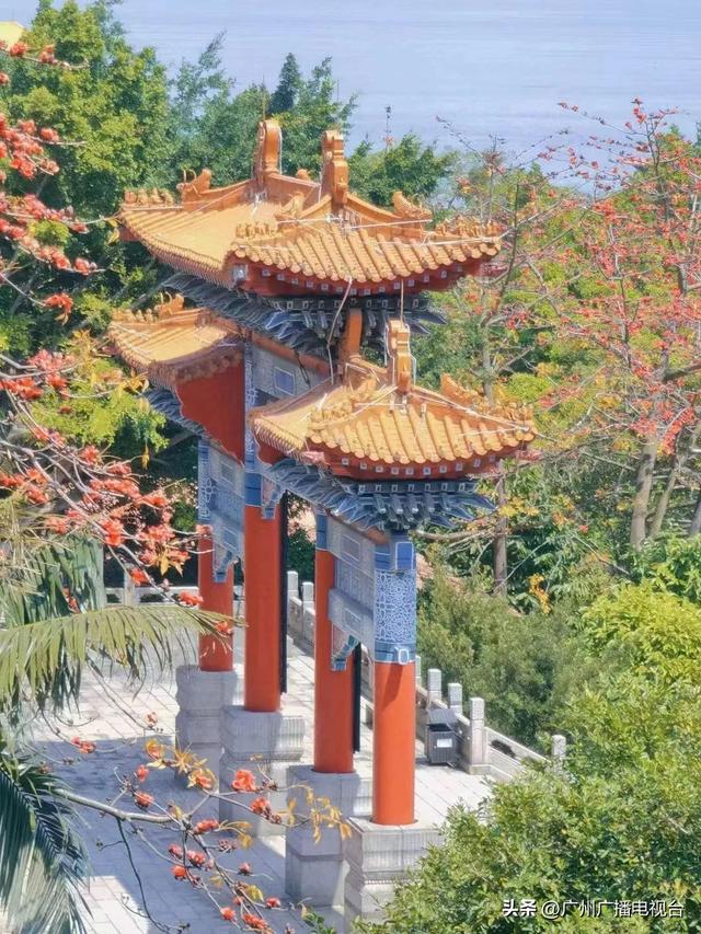 广州哪里可以看海，广州旅游看海的地方（广州这些“无敌海景”碧道藏不住了）