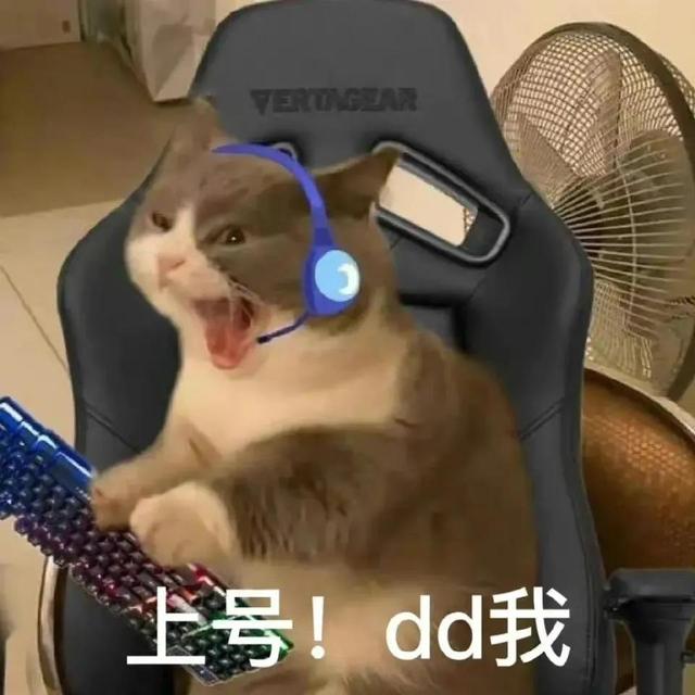 哼唧唧歪歪，微信头像，哼唧唧歪歪（猫猫狗狗表情包/哼哼）