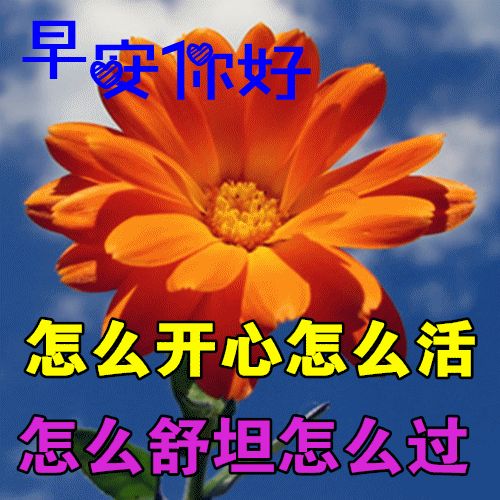 未来可期的唯美句子，未来可期下一句怎么接（早安祝您安康快乐）