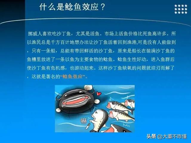 什么是鲢鱼效应，鲢鱼效应的哲学原理（什么是“鲶鱼效应”）