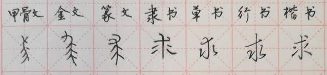 求字的组词有哪些，求字的组词有哪些一年级（737.《千字文》说文解字“求”）