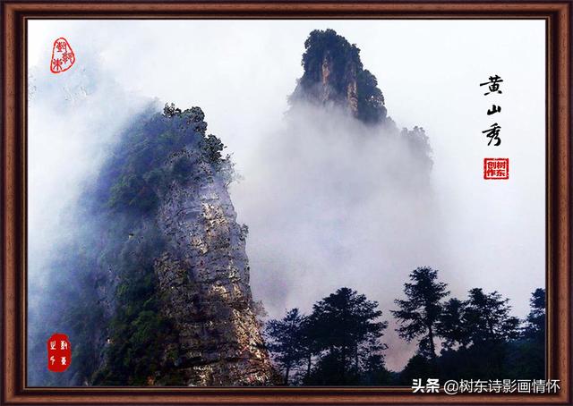 松树有什么象征与含义，松树象征的意义是什么（松在中华文化中象征着一种精神）