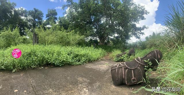 三礼是什么，元培中学文明三礼是什么（明琼州\