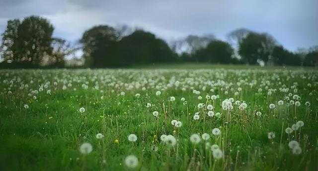 武汉阿波罗男科医院可靠吗，武汉阿波罗医院怎么样（真实的令人害怕）
