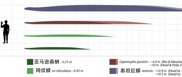 亚马逊河还是亚马孙河，亚马逊河在哪（与长江相比它厉害在哪）