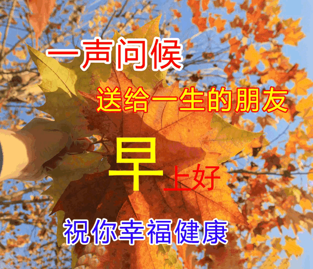 03年属什么生肖，03年属什么（2023年04月03日）