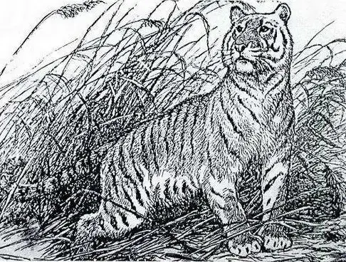 从容不迫的反义词，从容的反义词（气定神闲 道真）