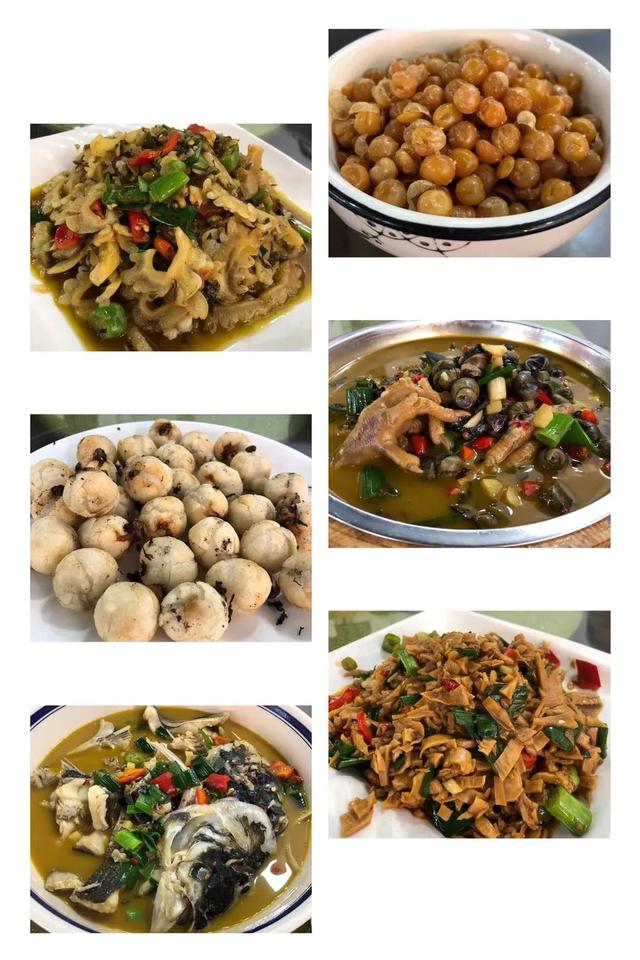 吃货进行曲歌词，吃货养成记：二零一九