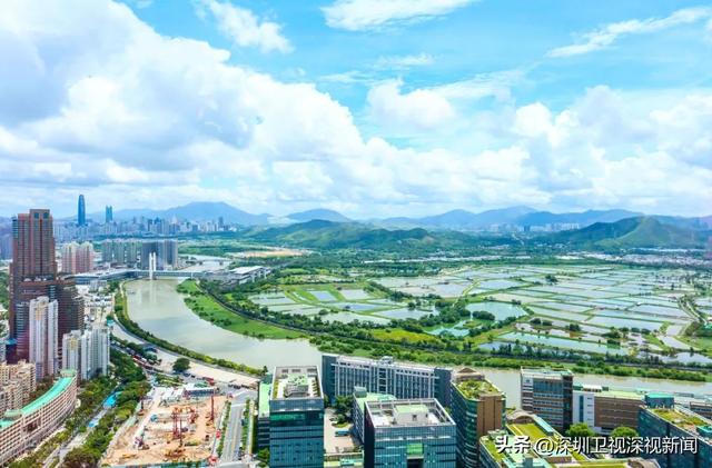 深圳市面积多少平方公里，深圳有多大面积（上海有多大面积）