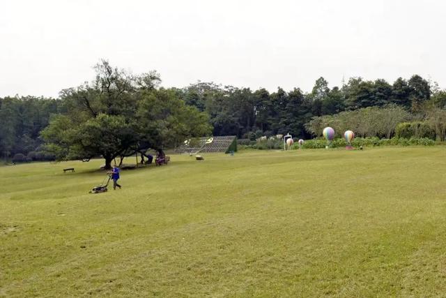 距离成都2小时小众的露营基地，成都近郊9个小众徒步露营耍水地