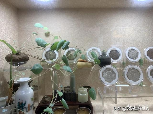 一套大五帝钱价值多少，真品五帝钱一套多少钱（银元投资与收藏的价值）