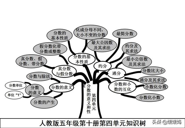 六下数学思维导图，六年级数学下册思维导图全部（人教版五年级数学下册各单元思维导图）