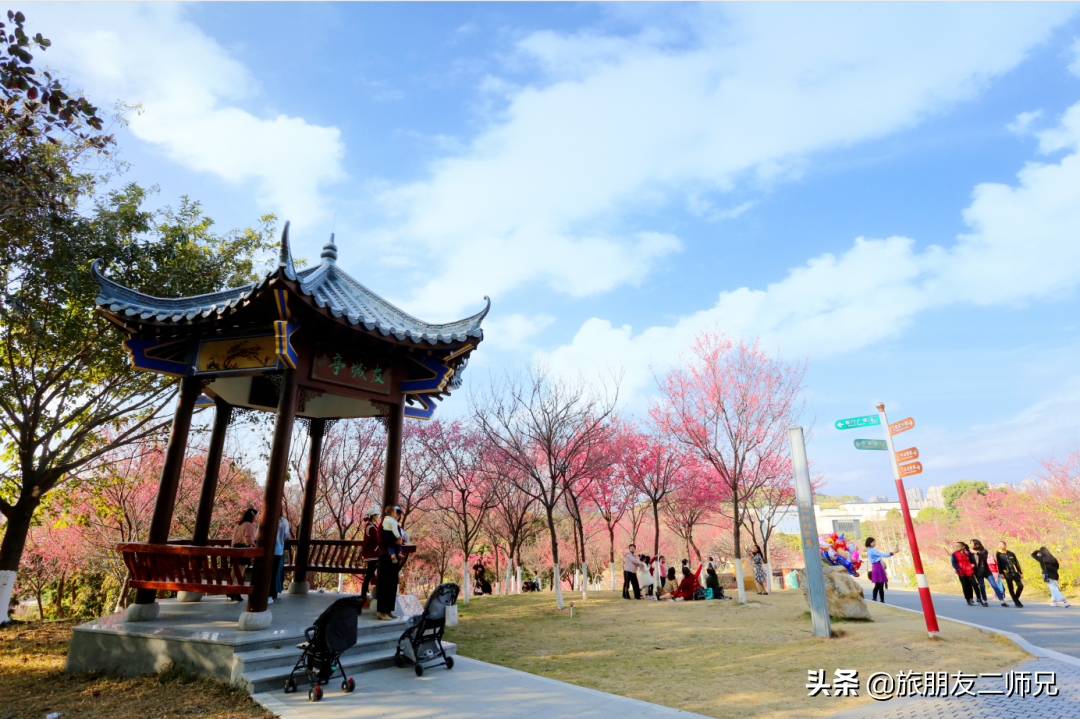 福源果场(广州出发) - 悦闻天下