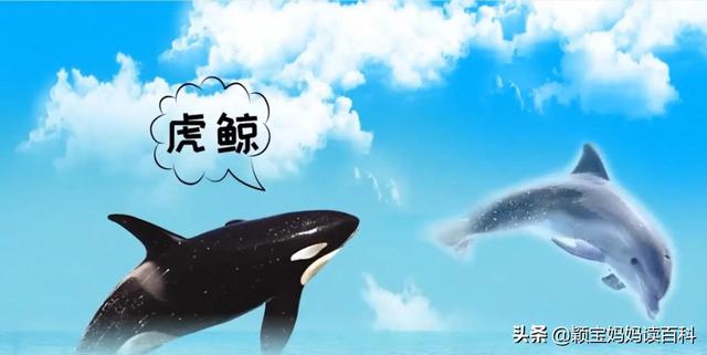 什么叫哺乳动物，什么叫哺乳动物怎么听一遍啊（<二十一>——强大的哺乳动物）