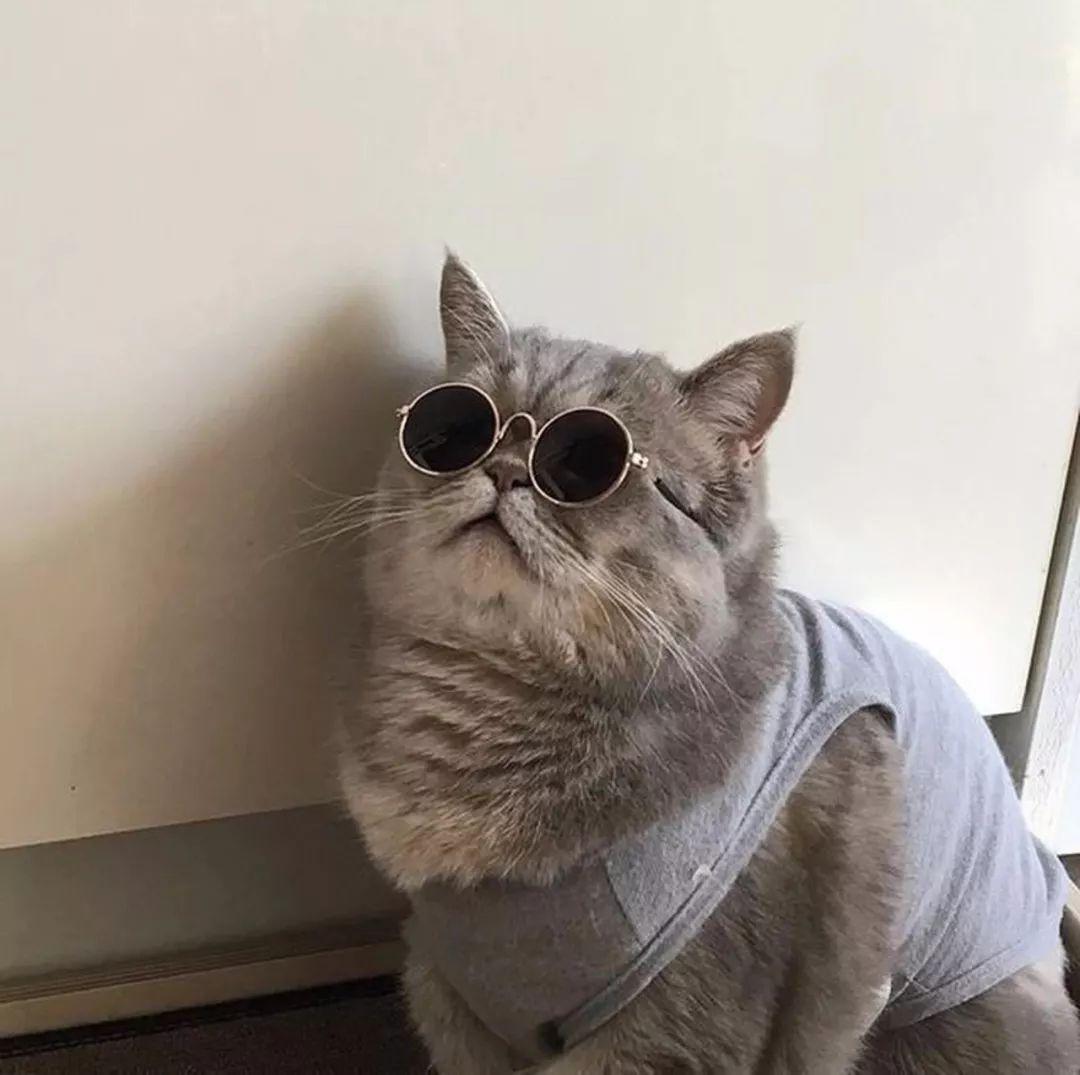 十二星座头像白羊座,精美头像12星座性格分析-星座-荣耀易学