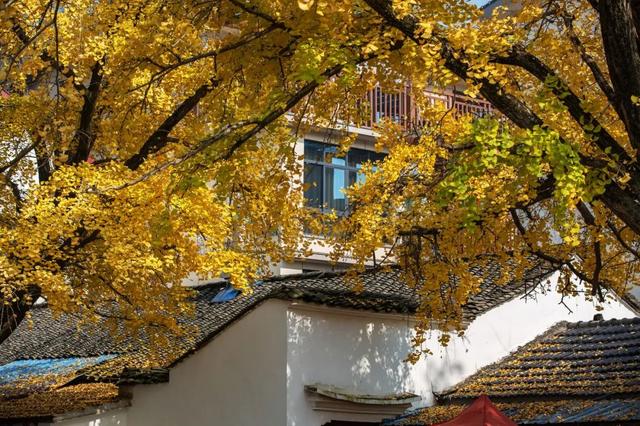 10种代表秋天的景物，秋天的景色有哪些（这10个小众绝美的秋景地）