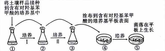 富集微生物的原理，高中生物-微生物的培养与应用