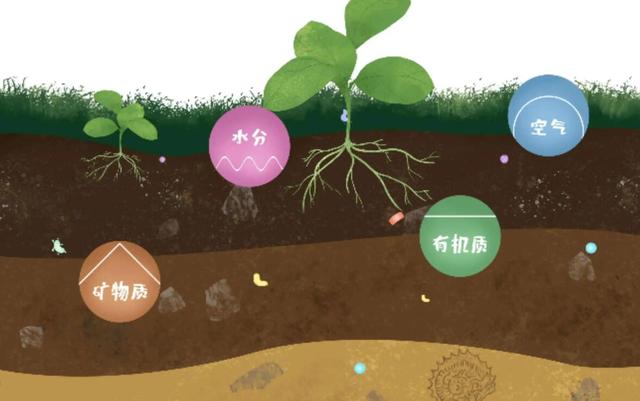 什么叫有机肥，有机肥是什么原料做的（搞种植的都在说“有机质”）