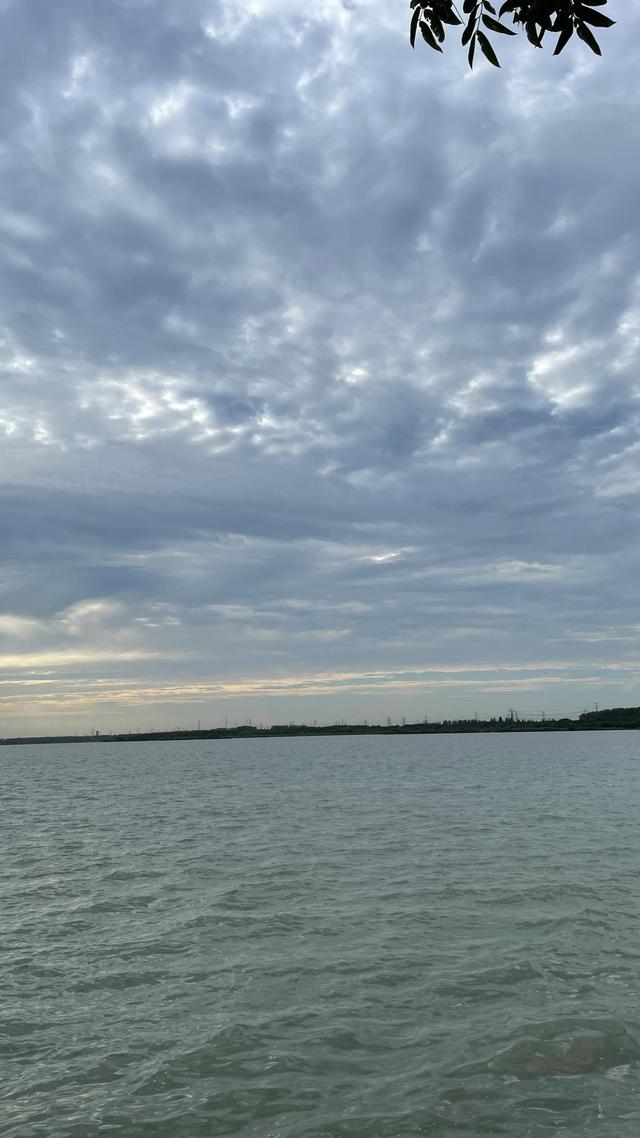 上海到青岛多远，上海到青岛的路程（上海青岛往返1400公里全程无高速沿途城市蜻蜓点水游）