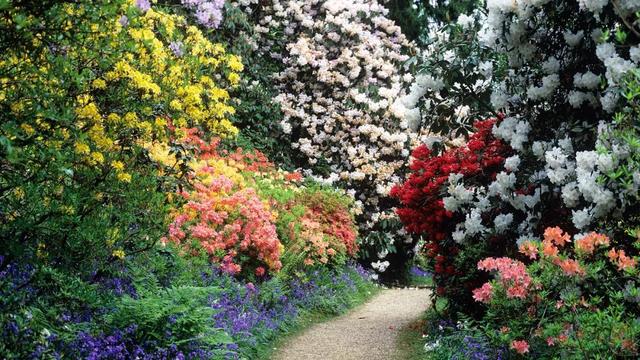 用来比喻爱情的动物，用动物比喻爱情的句子（也该成为四川人的恋爱标配）