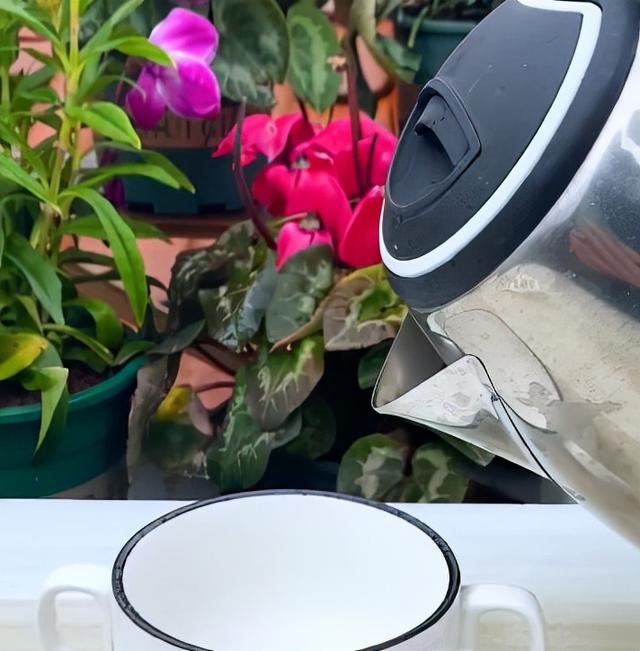 葫芦几月份种最好，文玩葫芦几月份种植（家庭如何种植手捻葫芦）