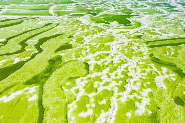 青海盐湖最佳旅游景点，中国最美的十大盐湖