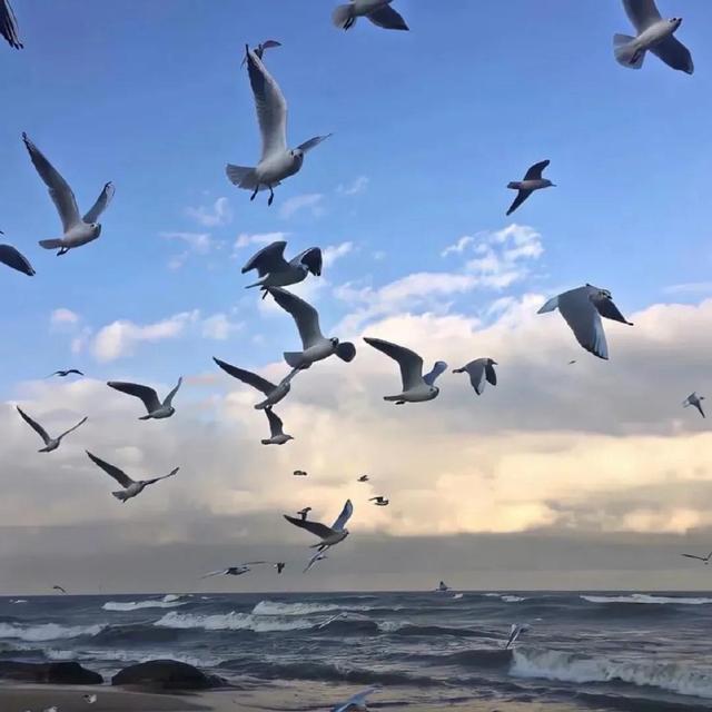 朋友圈背景图片，朋友圈背景图（朋友圈背景图无水印）