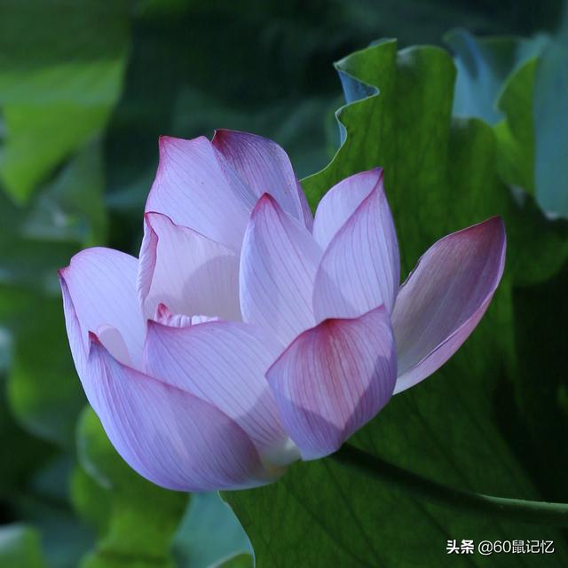 图书目录一览表，浙江交通职业技术学院有哪些专业（<分享我退休后购买的图书目录>）