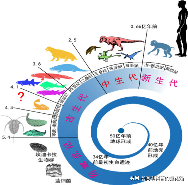 十大史前海洋巨怪，盘点史前海洋十大巨兽