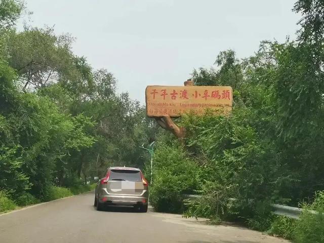 国内最适合儿童旅游的地方，儿童旅行箱哪个牌子好（遛娃。推荐3个著名的湿地公园）