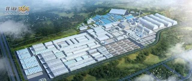 生长最快的桉树苗是哪个品种，速生桉一亩可种多少棵（又将迎来种植速生桉的新一轮热潮）