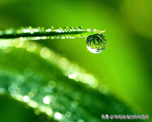 玉蝉吊坠的寓意是什么，玉蝉的寓意是什么（蝉除了寓意“知足常乐”还象征“爱情久长”）
