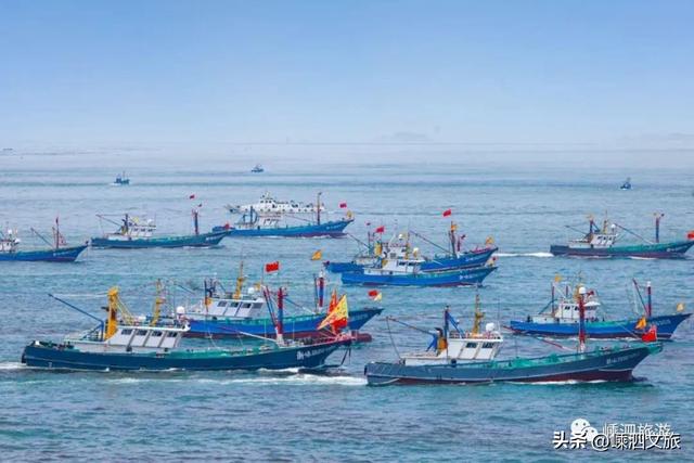 葱油黑鲷鱼做法，油炸鲷鱼做法（东海全面解禁）