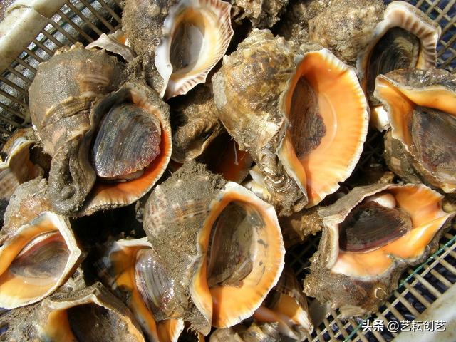 辽宁省有哪些市，锦州附近都有哪些城市（全国地理标志农产品目录系列之辽宁省——）