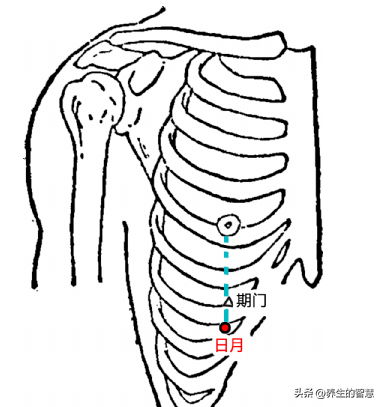 胆经的准确位置图，真人胆经穴位运行路线图（最完整的经络笔记）