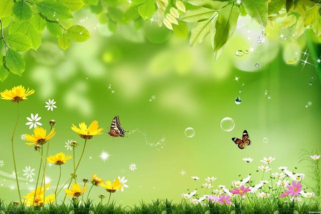 感慨时间匆匆的句子，感慨时间匆匆的句子(2)（20个感慨人生岁月的句子）