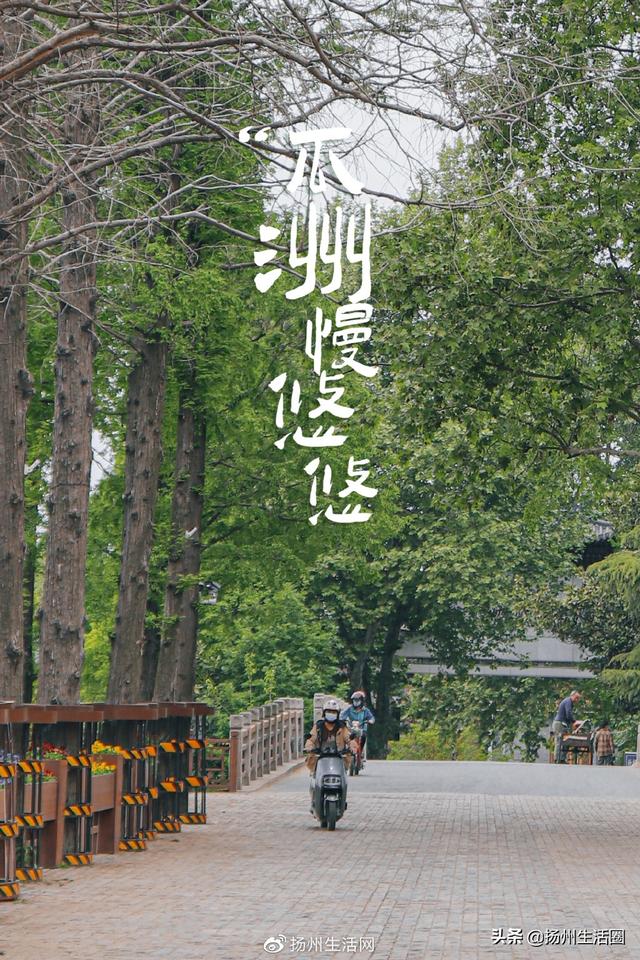 扬州市哪个区比较繁华，扬州市哪个区比较繁华点（你好，瓜洲，重新认识一下）