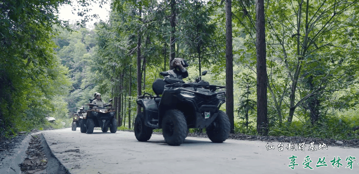 汉中旅游景点排名推荐，汉中旅游景点大全排名榜（在汉中一年四季可以这样玩 →）