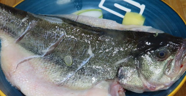 清蒸鲈鱼正宗做法，清蒸鲈鱼的做法最正宗的做法（清蒸鲈鱼的做法 家常的做法）